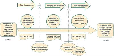 Remarkable response to PD-1 inhibitor in a patient with extensive-stage small cell lung cancer: a case report and literature review